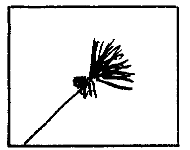1842.gif