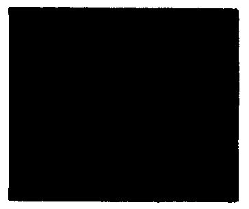 2863.gif