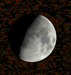f44.jpg