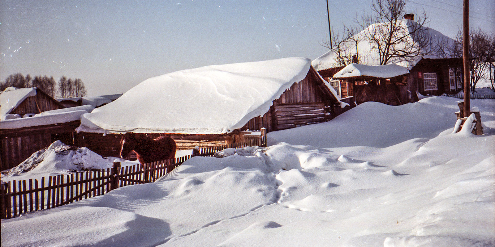 Сибирская зима. Березовка. Фото: К. Пеэбо 1993 г.