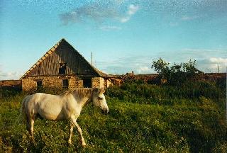 Obene