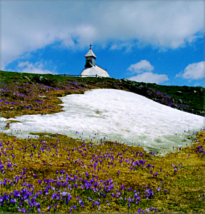[Velika Planina]