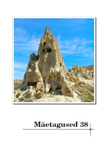 Mäetagused 38