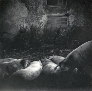 EKRK, Foto 12