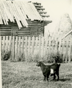 ERA, Foto 12137