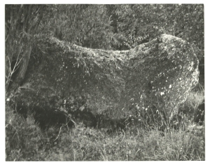 ERA, Foto 13139