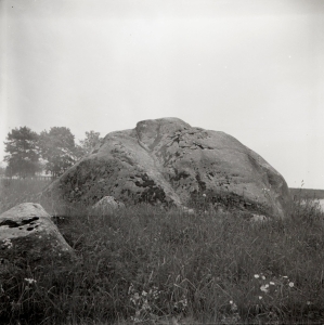 ERA, Foto 14431