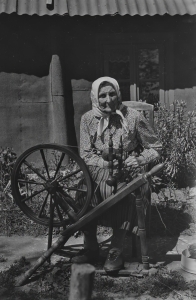 ERA, Foto 8824