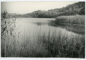 ERA, Foto 9699