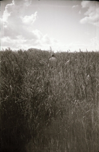 KKI, Foto 2417