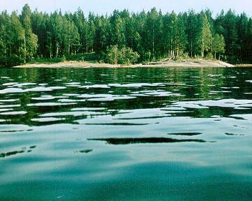 [Cape Besov Nos North]