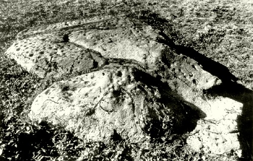 [&laquo;Assaku n&otilde;iakivi&raquo;]