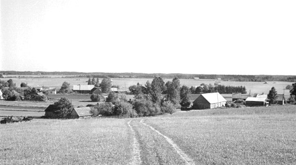 [Photo by L. Briedis]