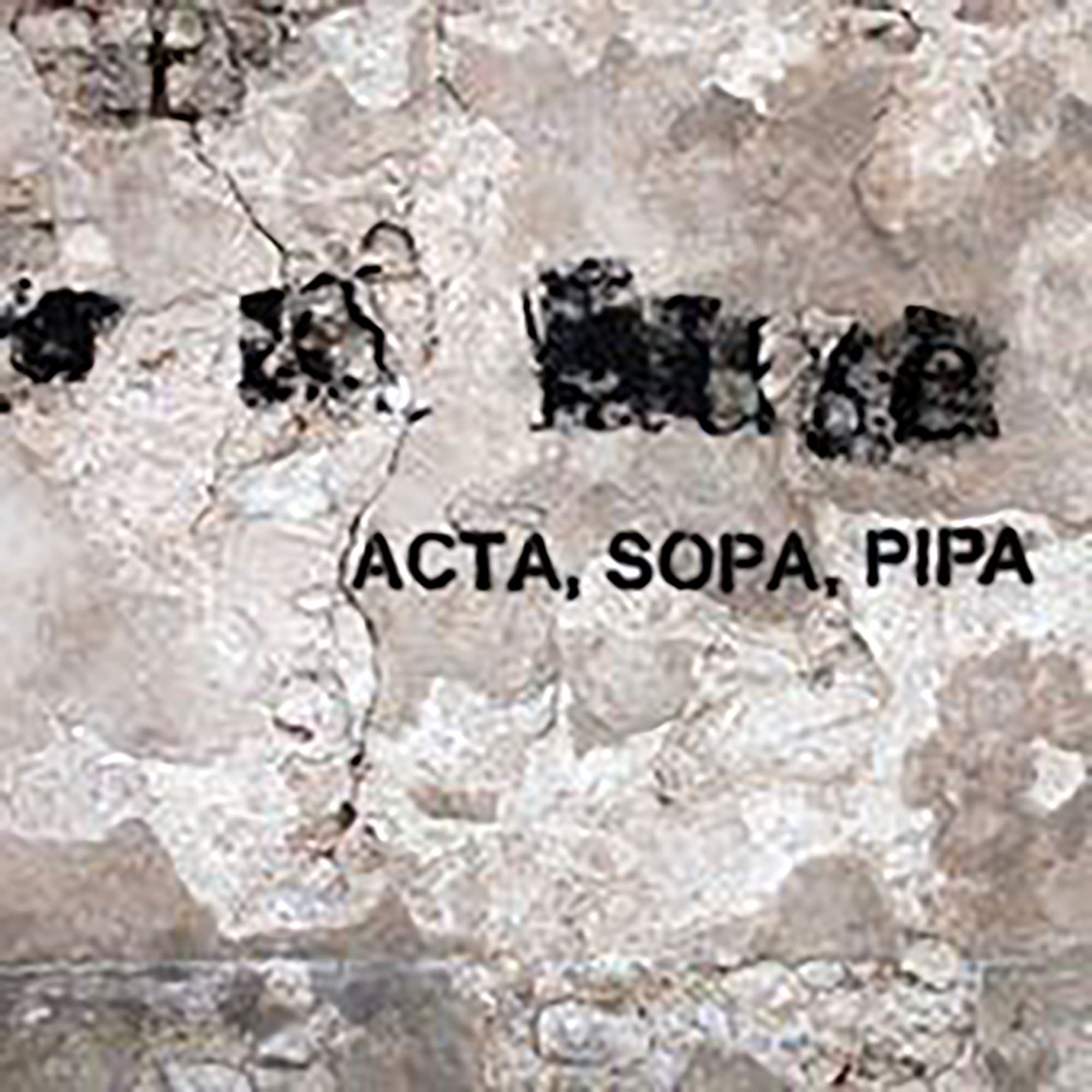 Hallil seinal musta värviga maha soditud grafiti millele on juurde kirjutatud "ACTA, SOPA, PIPA"