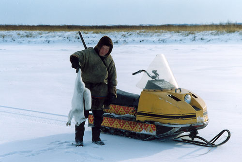 Vitali&buran&fox