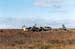 Arkadi_drives