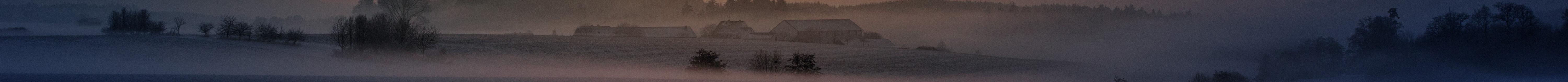 Õhu- ja tuulevaimud bänner