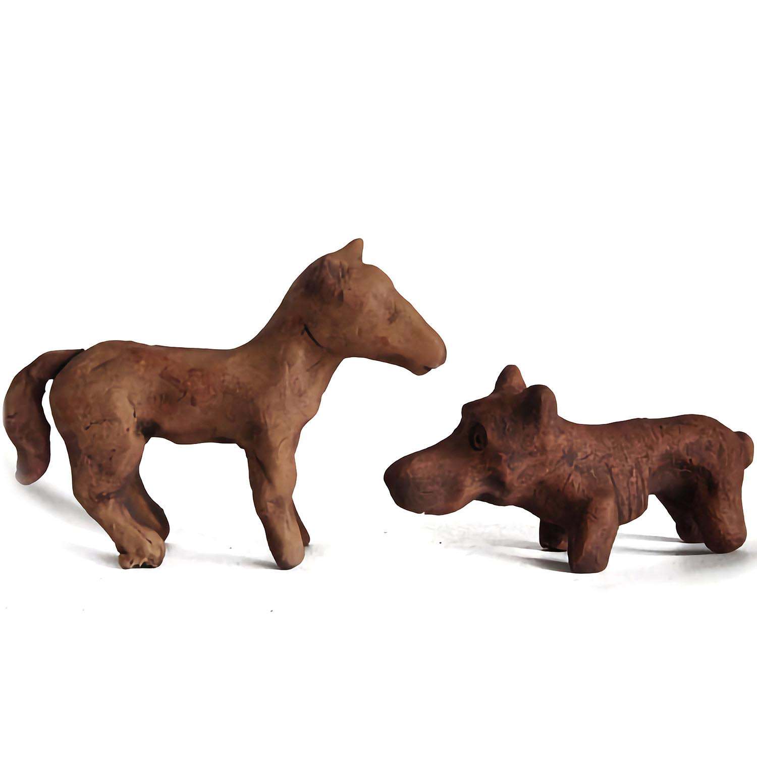 Horse’s Age under the Hoof