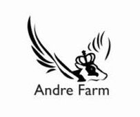 Andre Farm