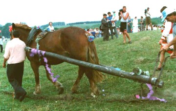 [<I>Ras'ken' Ozks</I>]