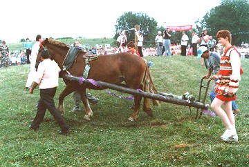 [<I>Ras'ken' Ozks</I>]