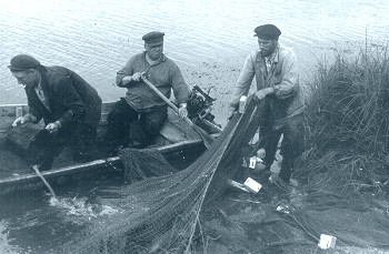 [Kalap&uuml;&uuml;k]