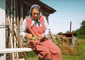 Vadja memm Liivtshüläs vihta tegemas 1998