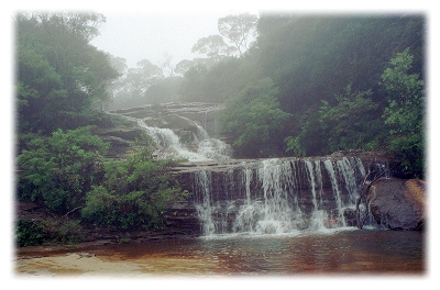 Wentworth falls