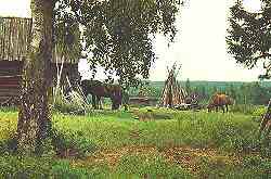 Mansi
k&uuml;lavaade