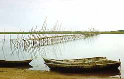 Kalat&otilde;ke Kunovatil.