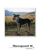 Mäetagused 40