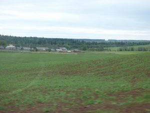 Уразгильды 2014 08 06 Фото Ева Тулуз (3)