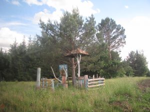 д. Алга 2013 06 13 Пасека Фото Ева Тулузд. (4)