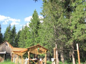 д. Алга 2013 06 13 Пасека Фото Ева Тулузд. (7)