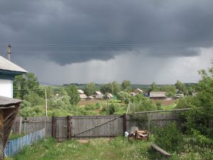 д. Бальзюга 2013 06 06 Общий вид деревни Фото Ева Тулуз (4)