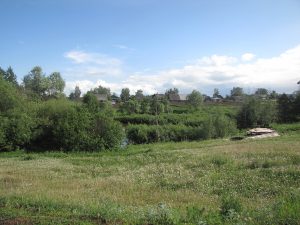 д. Бальзюга 2013 06 06 Общий вид деревни Фото Ева Тулуз (6)