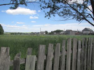 д. Бальзюга 2013 06 13 Вид деревни Фото Ева Тулуз (4)