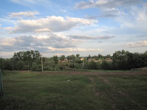 д. Бальзюга 2013 06 13 Вид деревни Фото Ева Тулуз (5)