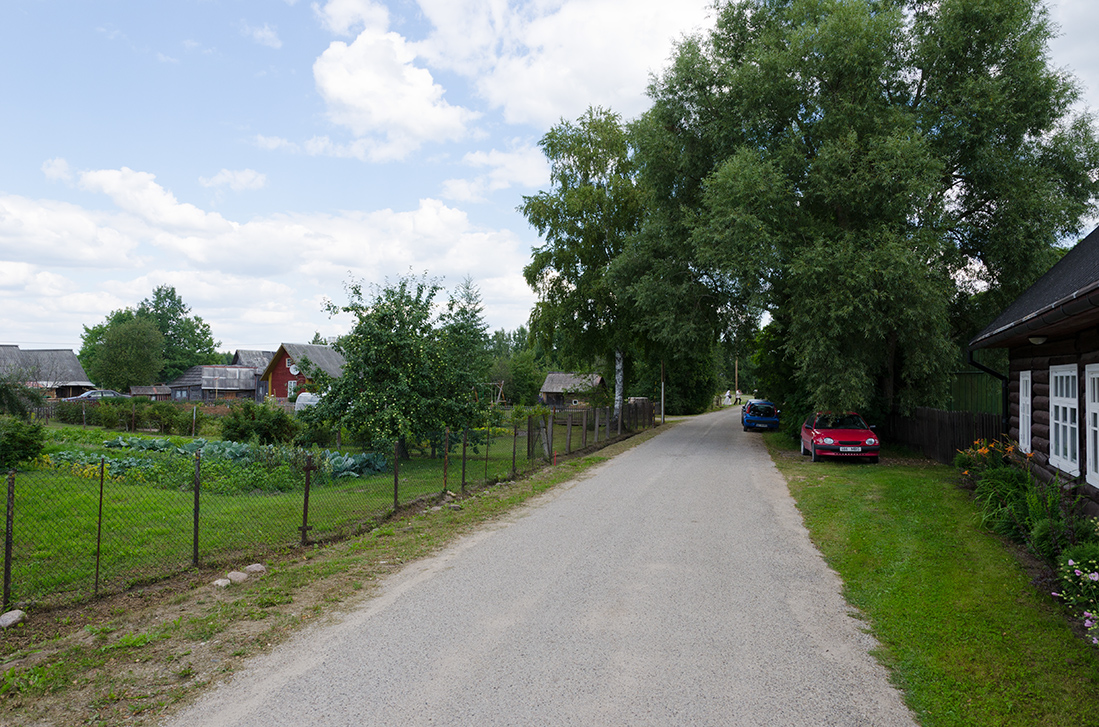 D7T_1293