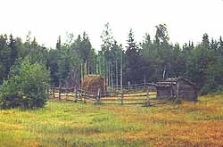 Village view