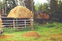 Village view